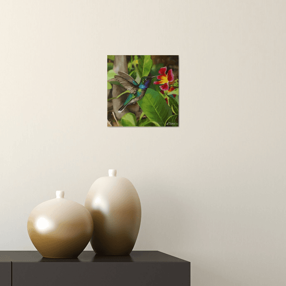 Tropical Hummingbird