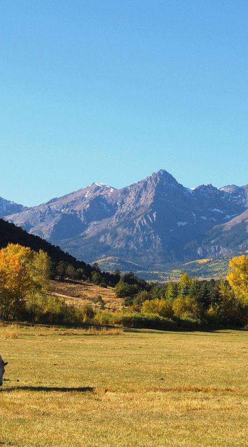 Dallas Creek Meadows by Alex Cassels