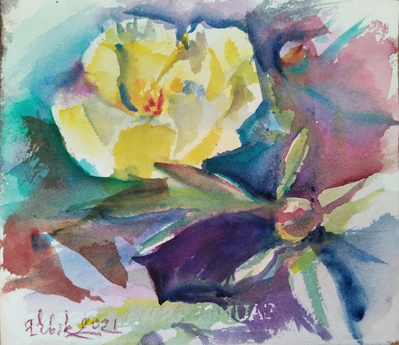 Yellow peonies 20210614