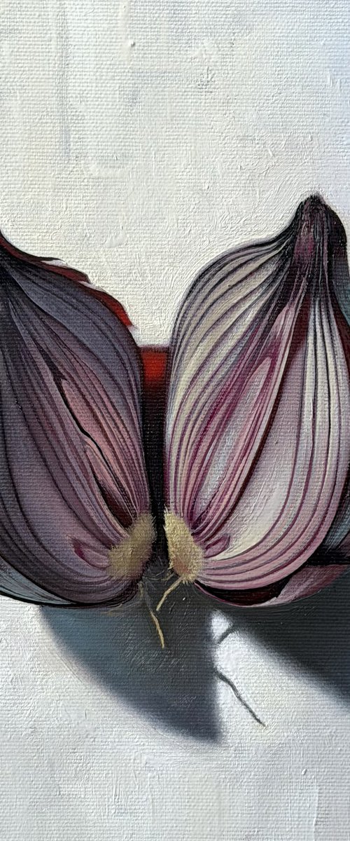 Onion. Still life by Anastasia Parfilo