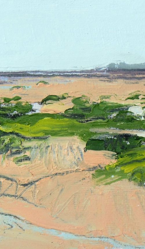 Grass and Channels to Headland I by Ben McLeod