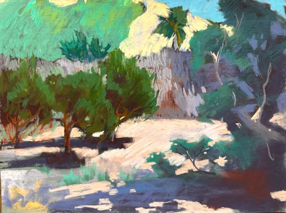 Orange Tree