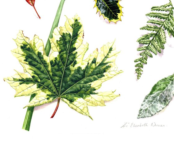 Leaf Library