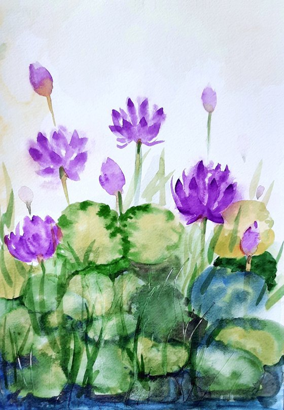 Crimson water lily pond set