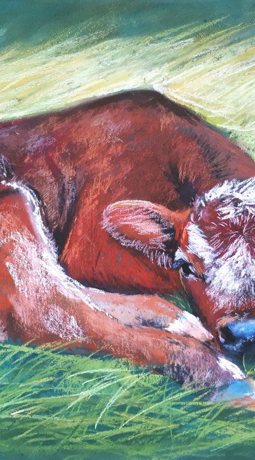 Calf... / FROM THE ANIMAL PORTRAITS SERIES / ORIGINAL PAINTING by Salana Art / Svetlana Samovarova