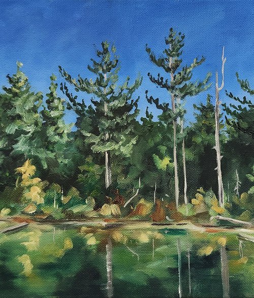 "Reflections Along the Shore" - Landscape - Lakes by Katrina Case