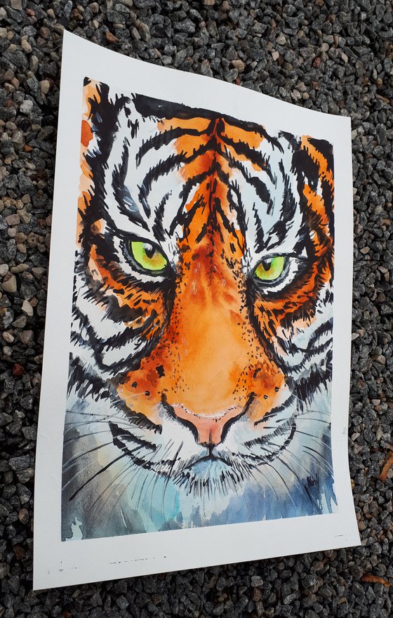 "The Tiger"