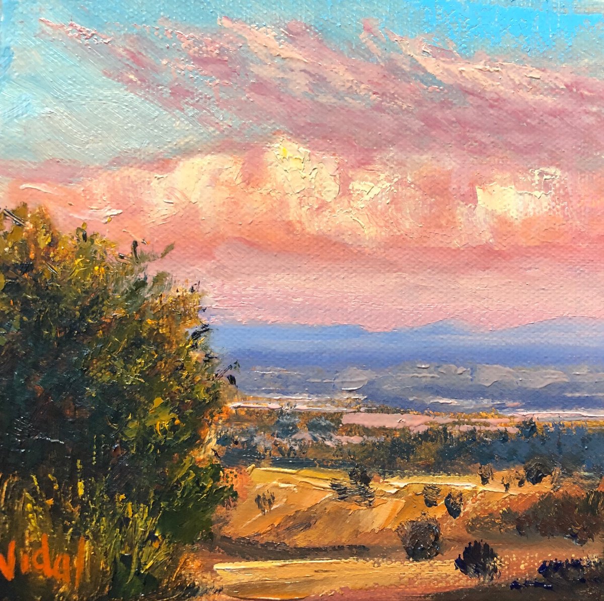 Hunter Valley Sunset by Christopher Vidal