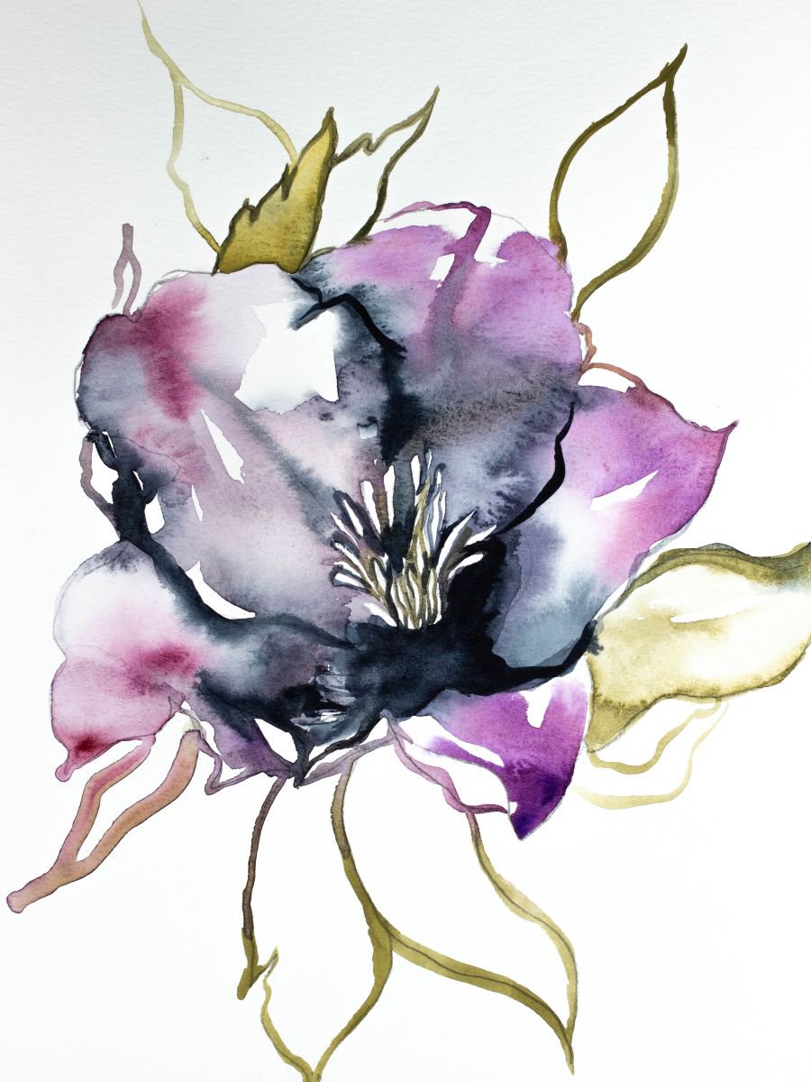 Hellebore No. 2 by Elizabeth Becker