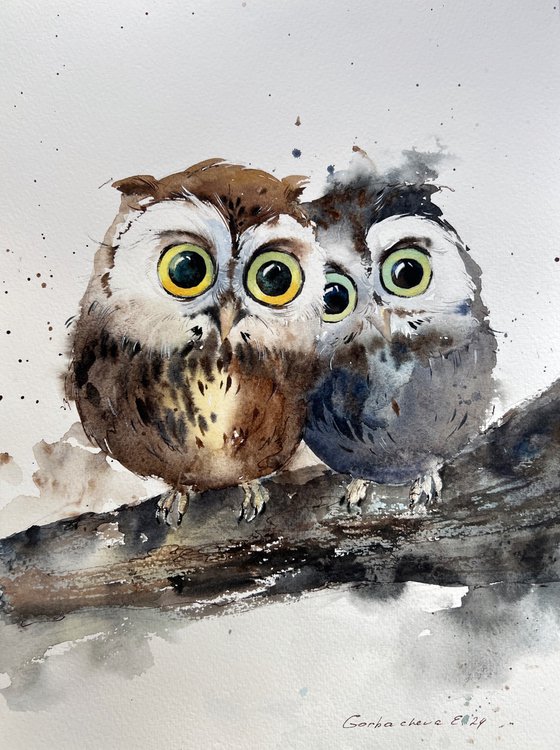 Owl duo on a branch