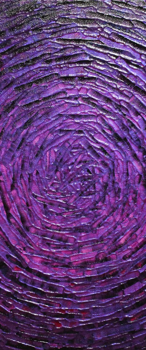 Purple concentric shine by Jonathan Pradillon