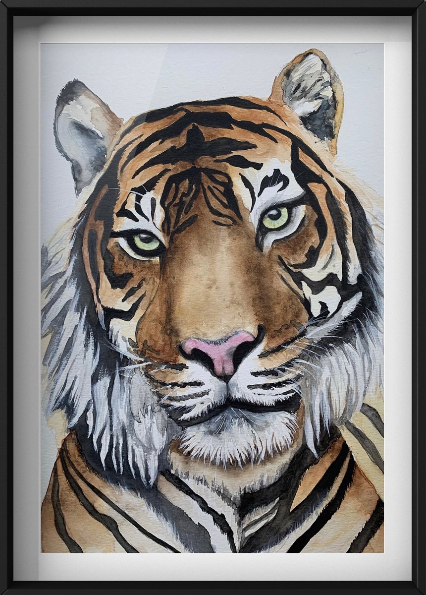 Tiger 1 by Lucia Kasardova