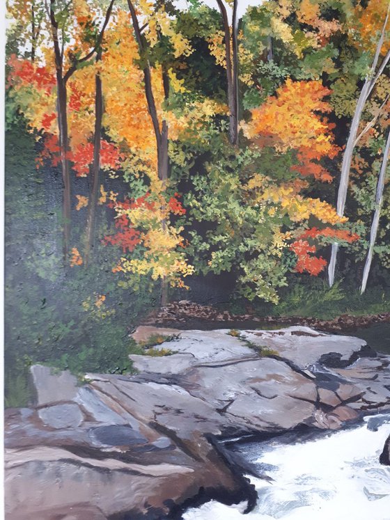 Fall Colours