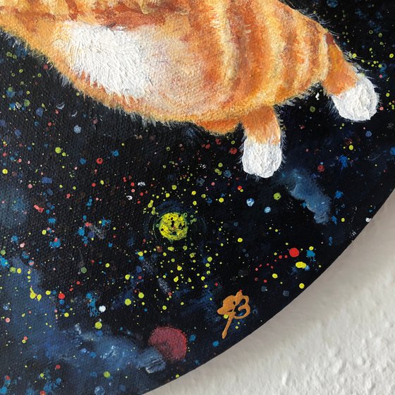 Ginger kittens in space