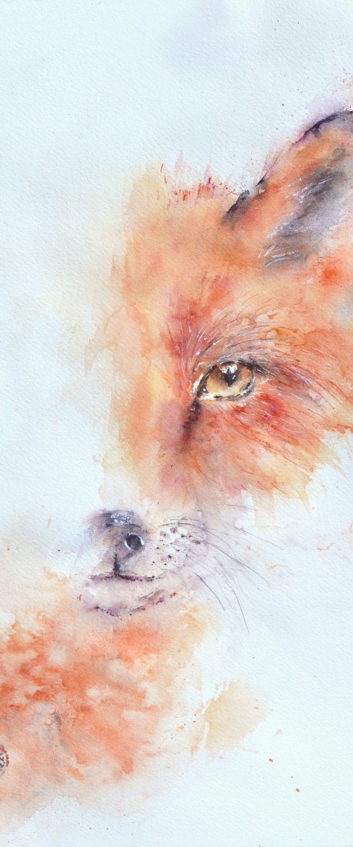 Red Fox by Sveta Hubmann