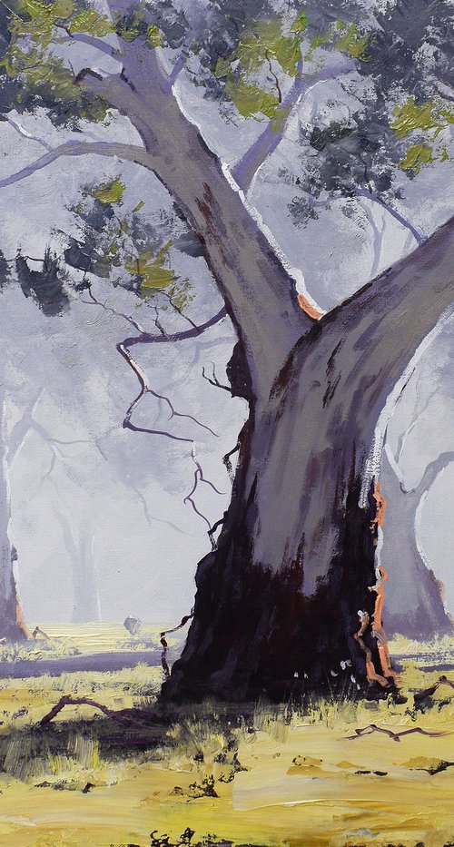 Australian Gum tree Landscape by Graham Gercken