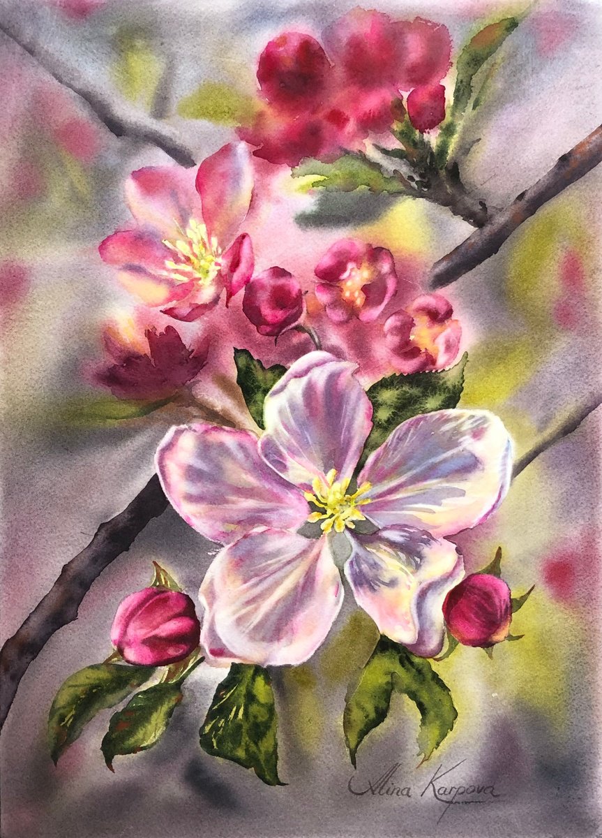 Apple blossom by Alina Karpova