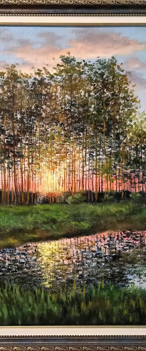 May evening by Oleh Rak