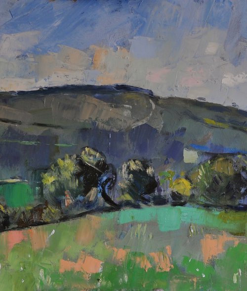 The Downs at Burpham. by Andre Pallat