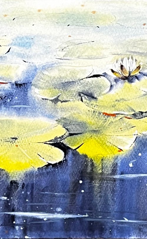 Waterlilies Flowers by Yana Ivannikova