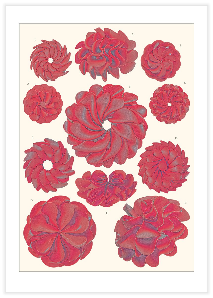 Illustrative Abstract Giclee Print By Vanda Berecz, 16 X 23", Atolla Ludificata, Original Artwork