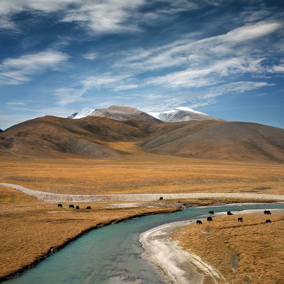 Tibet