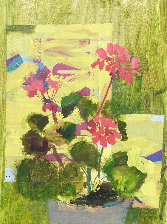 Geranium II