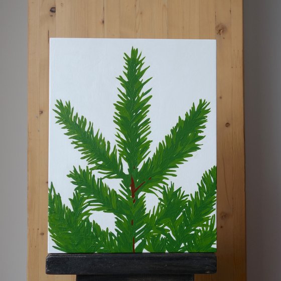 Pine-ing for you