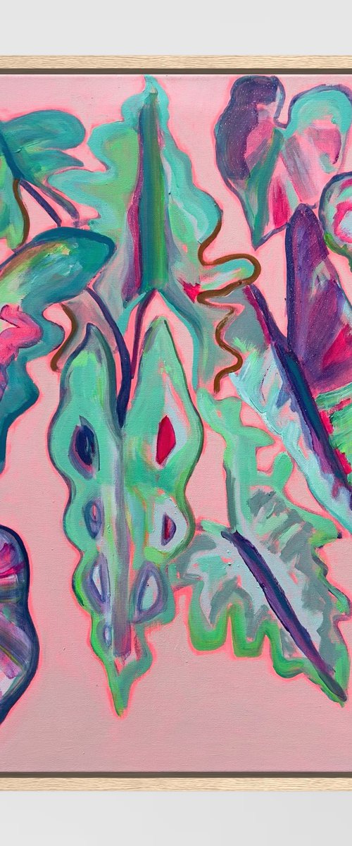 Alocasia Study III by Kathryn Sillince