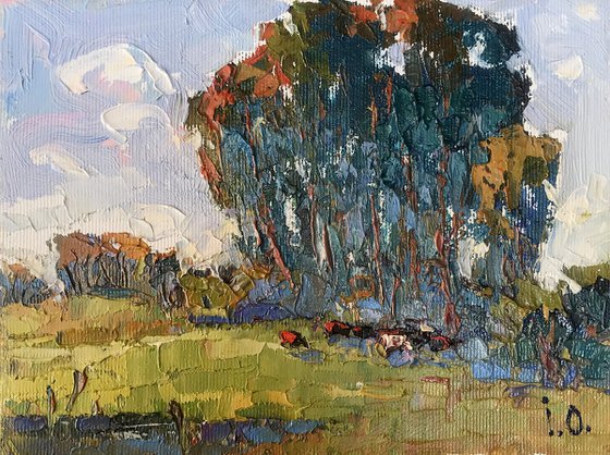 In the Shadow of Sedge