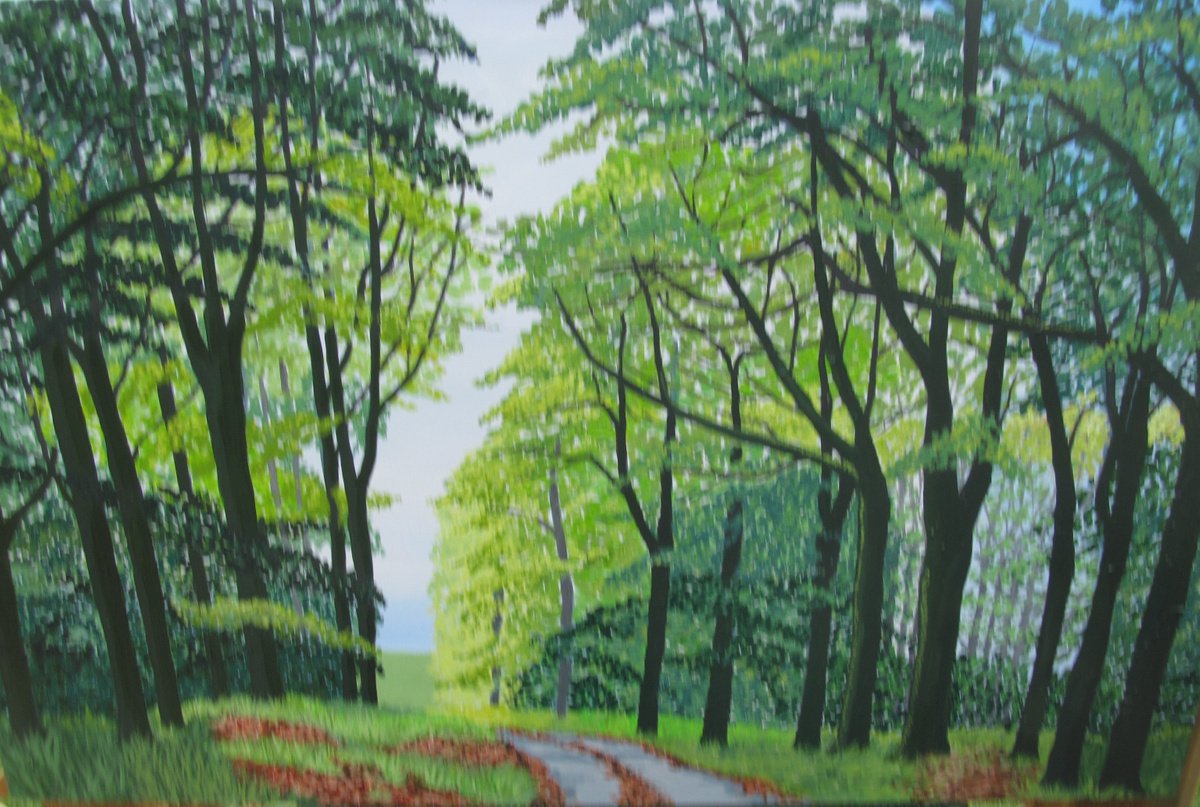 The road to Lanhydrock by gillian histon