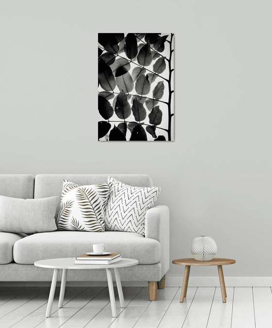 Branches and Leaves III | Limited Edition Fine Art Print 1 of 10 | 50 x 75 cm