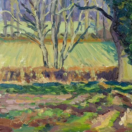 Terrington Trees, February