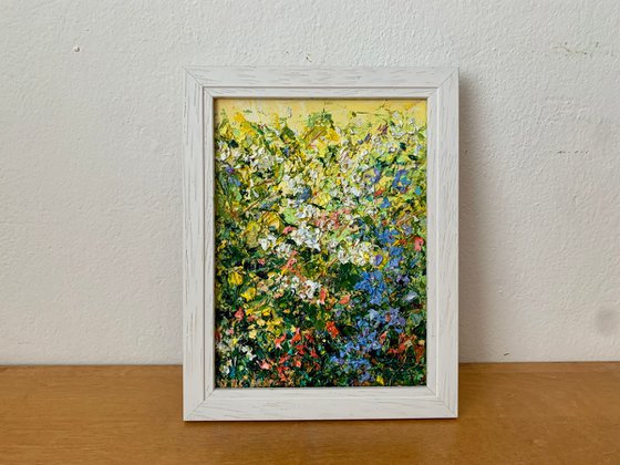 Summer meadow