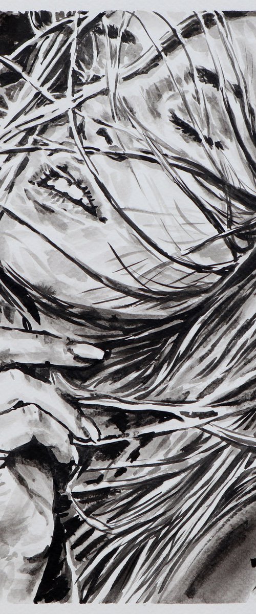 Wind of Hopes by Tashe