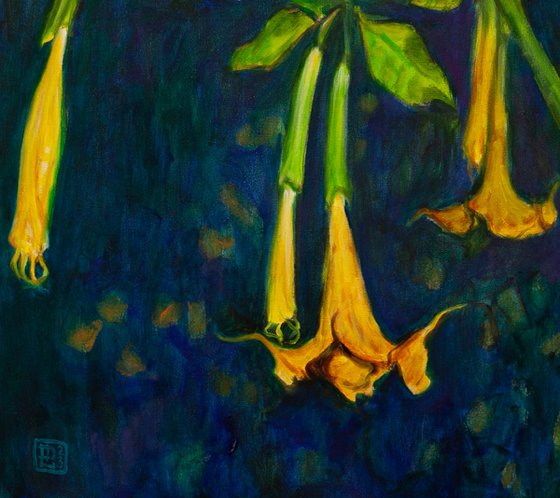 Angels Trumpets II