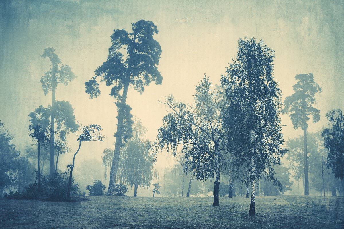 Landscape Photograph By Valerix, 24 X 16", Foggy Premonitions., Original Artwork
