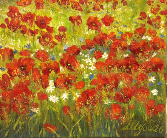Poppy field
