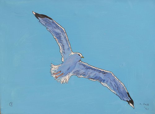 Seagull #4 by Colin Ross Jack