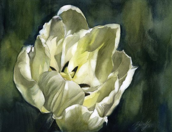 spring green tulip