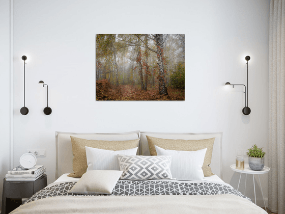Autumn Calm II — Misty Birches