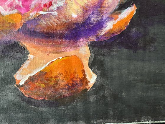 Fresh Grapefruit Still Life