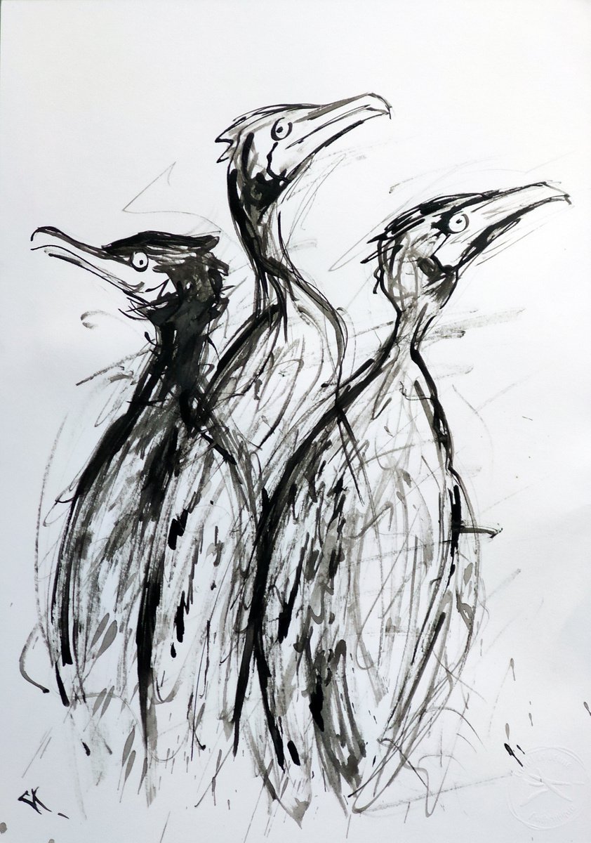 Expressive Animal Ink Drawing By Lionel Le Jeune, 12 X 17", Cormorants, Original Artwork