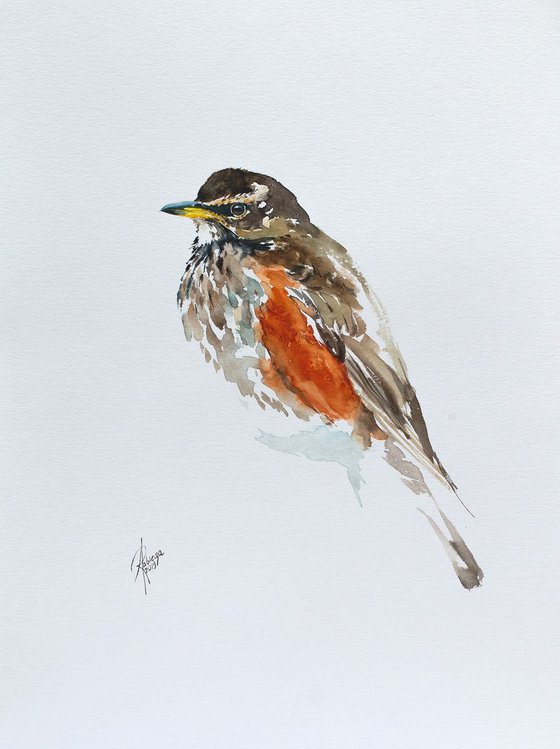 Redwing