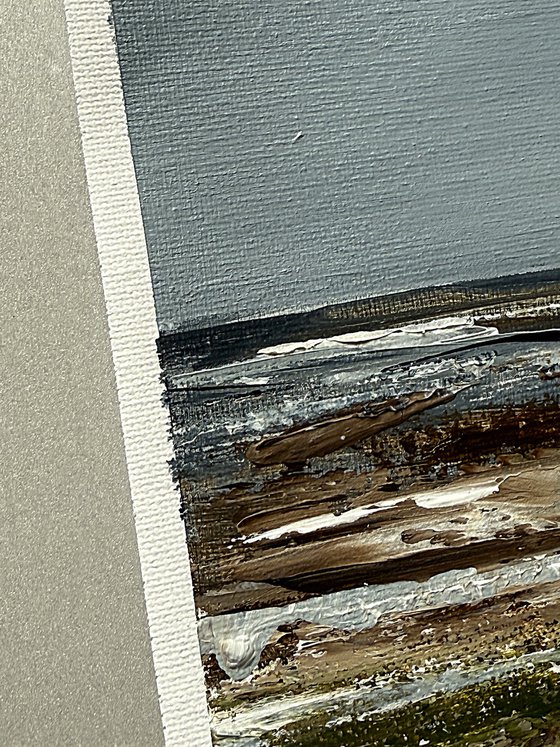 Coastal Fields in Grey Light