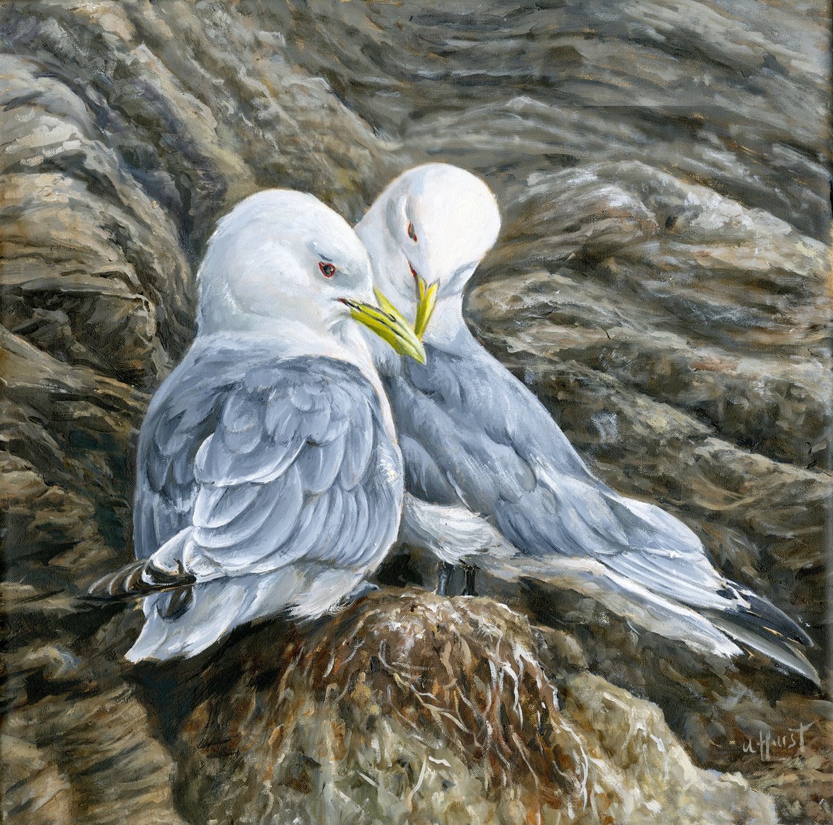 Black legged kittiwakes by Una Hurst