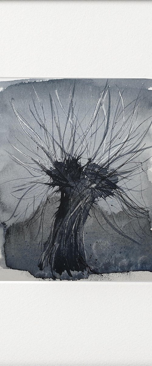 Monochrome - Pollarded Willow Study 1 by Teresa Tanner
