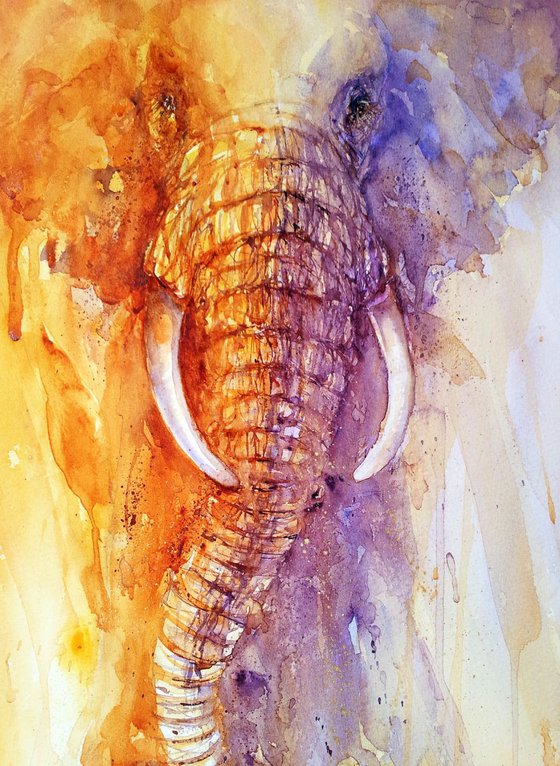 Golden Shadows_ Elephant