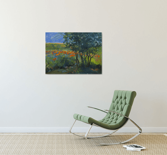 Summer Meadow Reflections