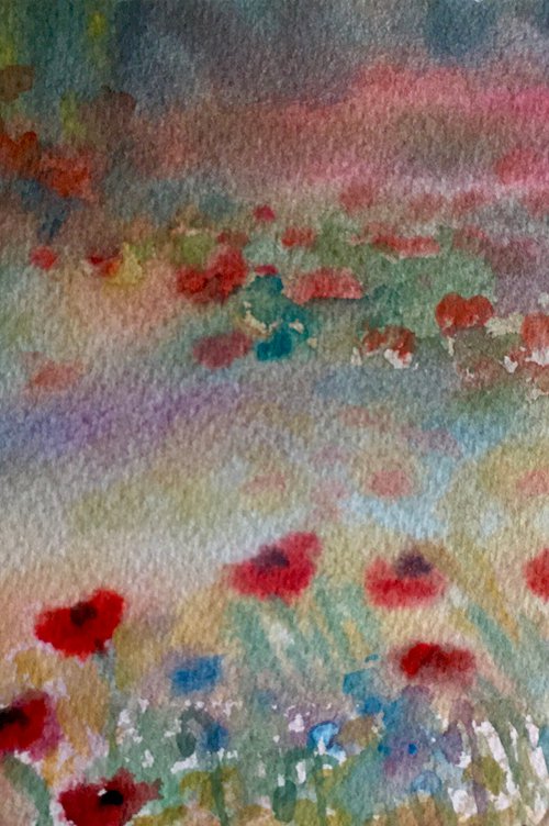 Poppies in the meadow by Samantha Adams